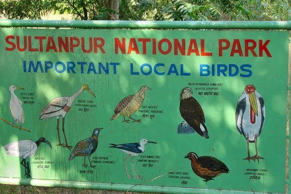 Sultanpur National Park